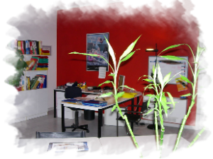 azienda1